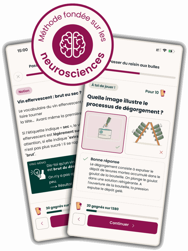Méthode fondée sur les neurosciences : quiz et notions dans l'app Vino Master